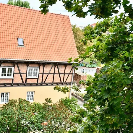 Kondor Shekspir Gdańsk