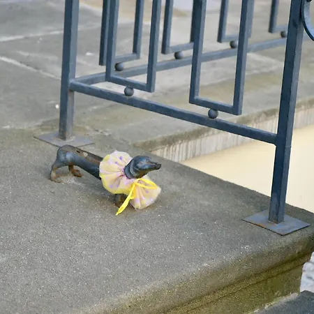 Kondor Shekspir * 格但斯克