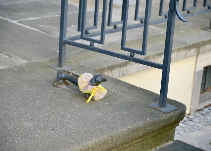 Kondor Shekspir * Gdańsk